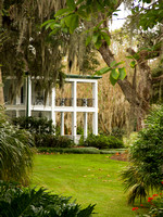 "The Plantation at Leu Gardens" by Mike Hurley