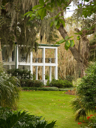 "The Plantation at Leu Gardens" by Mike Hurley