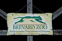 Brevard Zoo - Dec 16 2015