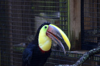 Central Florida Zoo - Sep 2013