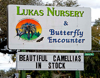 Lukas Nursery & Butterfly Encounter - Feb 22, 2021