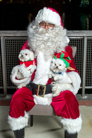 Santa Claus with Oviedo pets