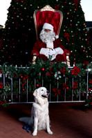 2020-12-09 Santa Paws