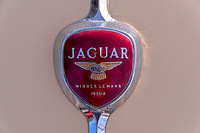 Jaguar XK140 Badge