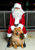 Santa Claus with Oviedo pets