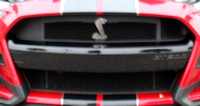 Cobra