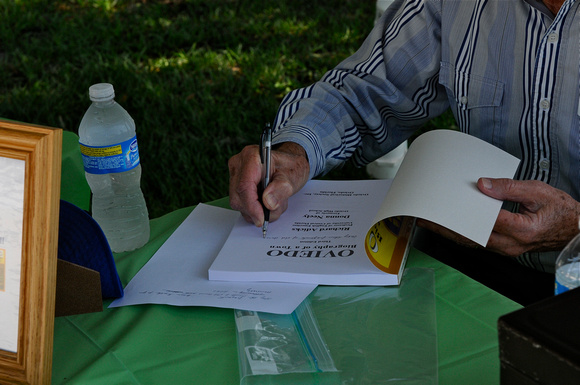 Music Fest on the Green 2011